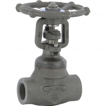 Vanne à guillotine en acier au carbone a182f11, garniture 123, 5 800 lb, npt Vanne à guillotine en acier au carbone a182f11, garniture 123, 5 800 lb, npt