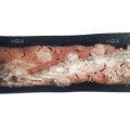Cinta transportadora de PVC 200 CBS - negro