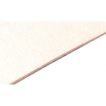 CM200FBS PVC Voedselbanden CM200FBS PVC Voedselbanden