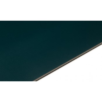 Nastri alimentari in PVC NAB-10EVDV 11