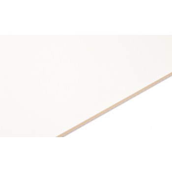Nastri alimentari in PVC NAB-10EVWV 11