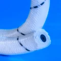 PTFE + Acryl-Geflechtpackung + Gummikern