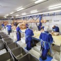 Tappetino antifatica Sani Flex 526 Nitrile Blu Industria Alimentare